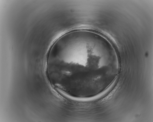 X0000095541413200712211337