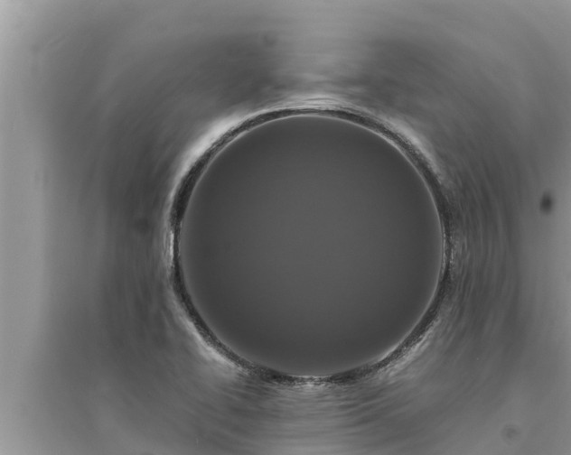 X0000095541414200712211337