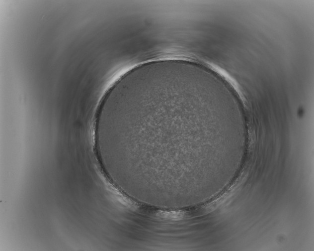 X0000095541415200712211337