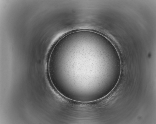 X0000095541416200712211337