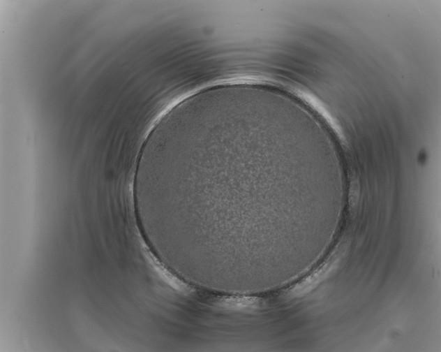 X0000095541417200712211337