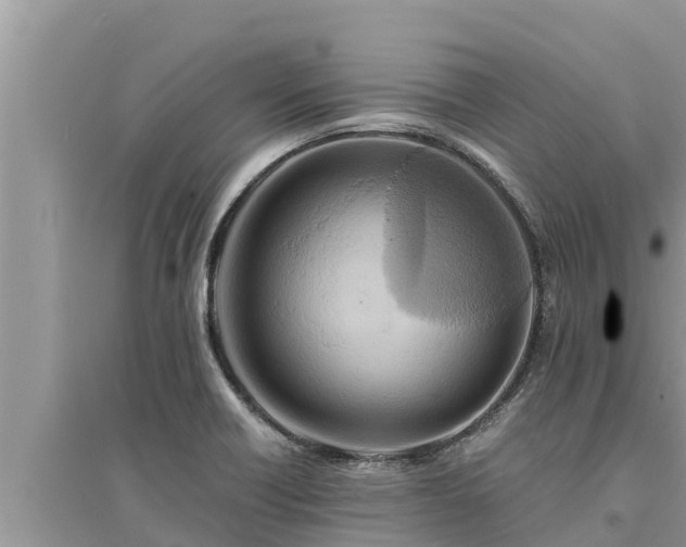 X0000095541418200712211337