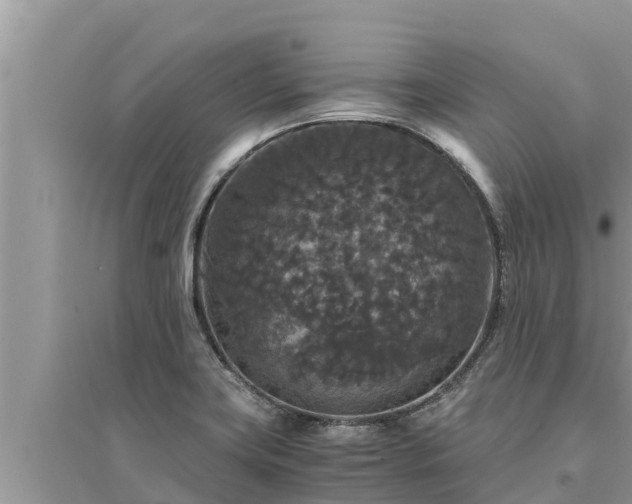 X0000095541419200712211337