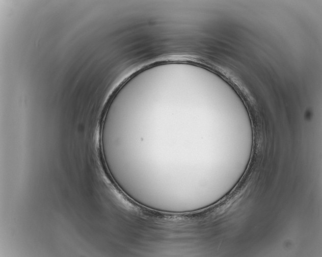 X0000095541420200712211337