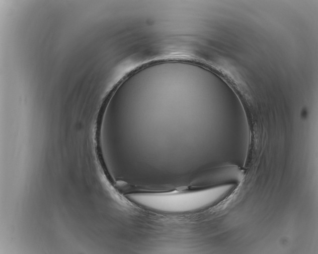 X0000095541422200712211338