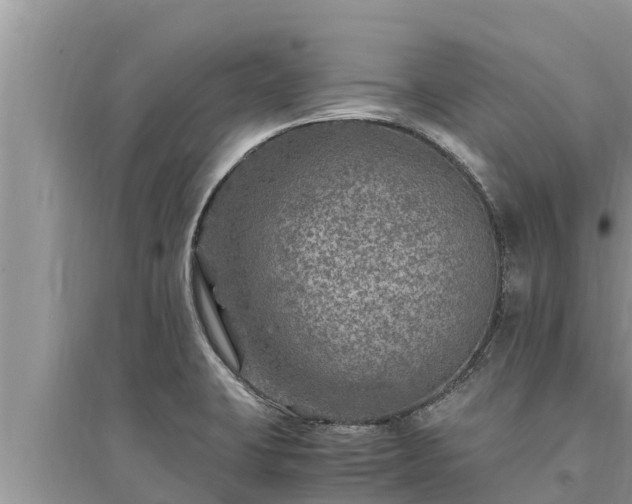 X0000095541423200712211338