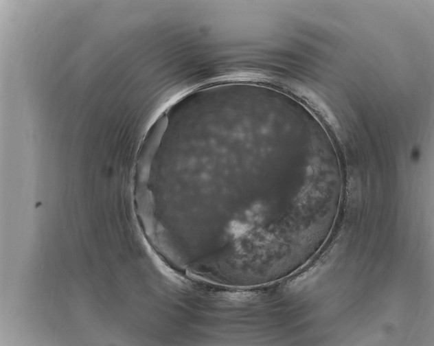 X0000095541425200712211338