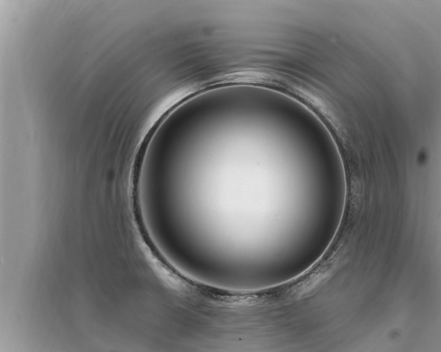 X0000095541426200712211338