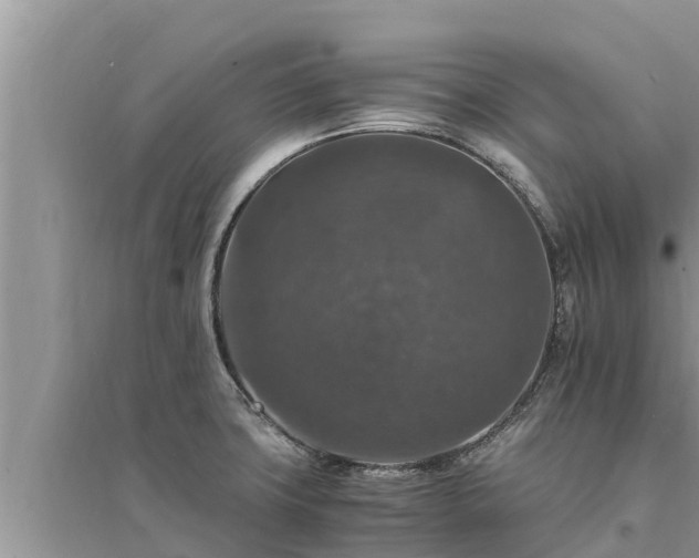 X0000095541427200712211338