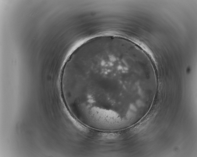 X0000095541429200712211338