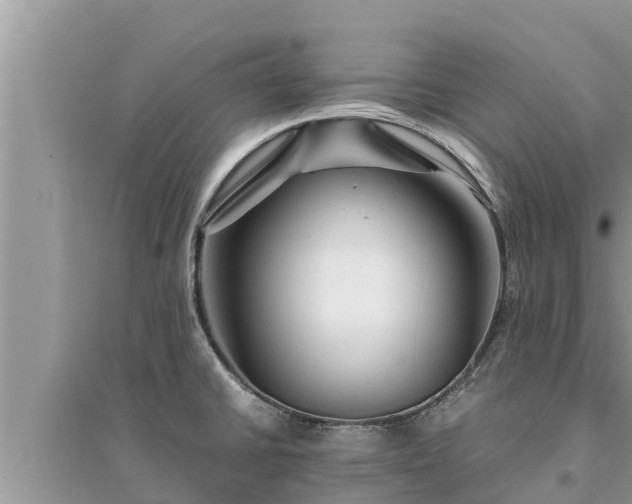 X0000095541430200712211338