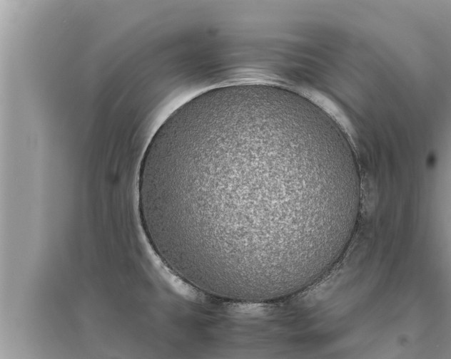 X0000095541431200712211338