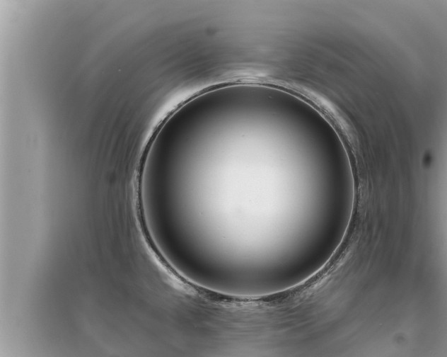 X0000095541432200712211338