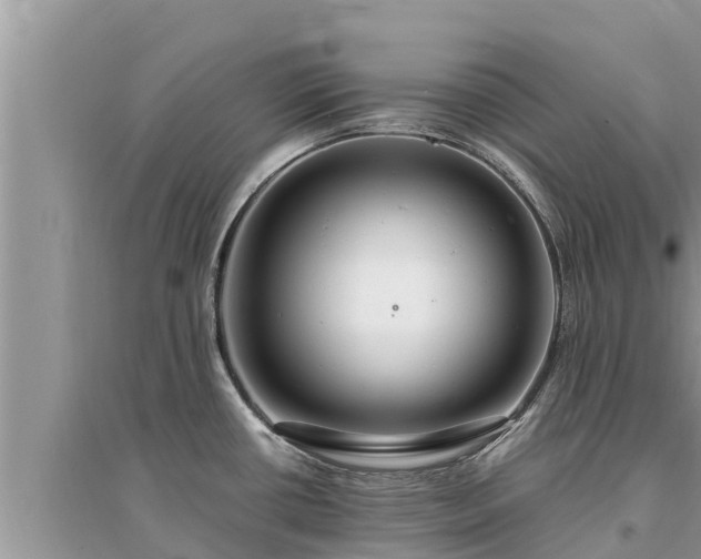 X0000095541434200712211338