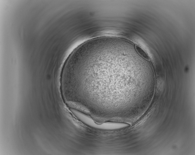 X0000095541435200712211338