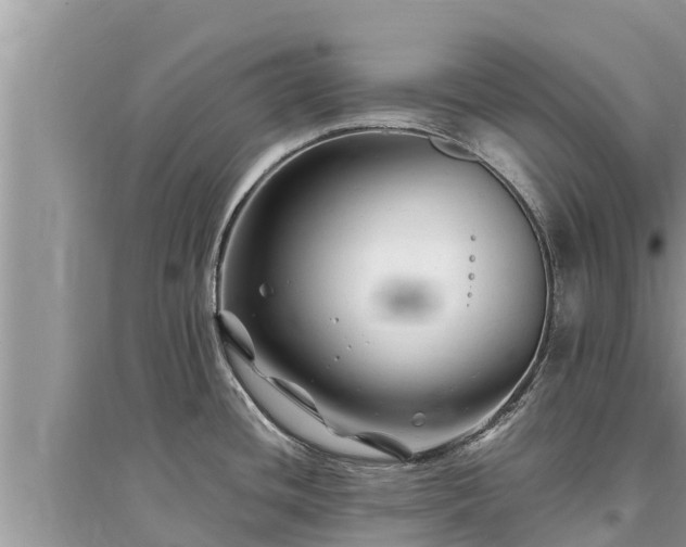 X0000095541436200712211338