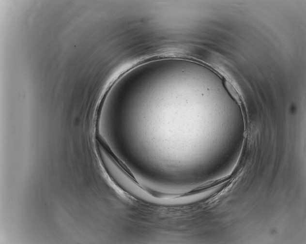 X0000095541437200712211338