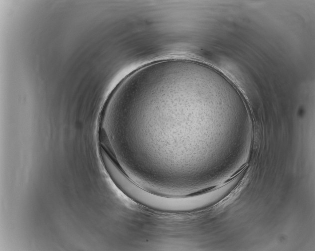 X0000095541438200712211338