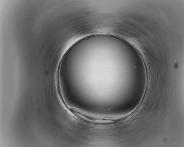 X0000095541440200712211338