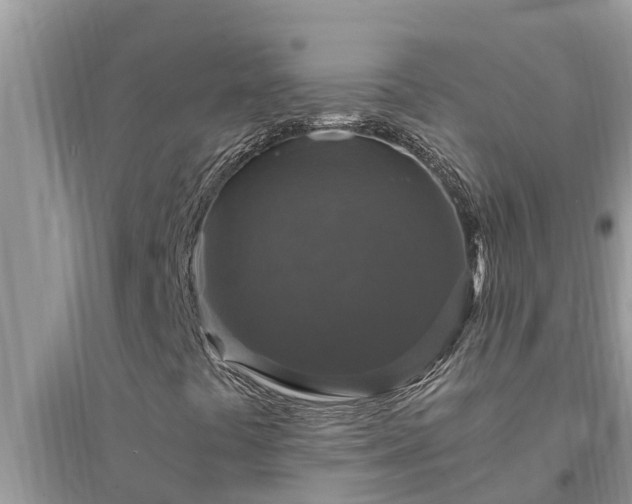 X0000095541441200712211337