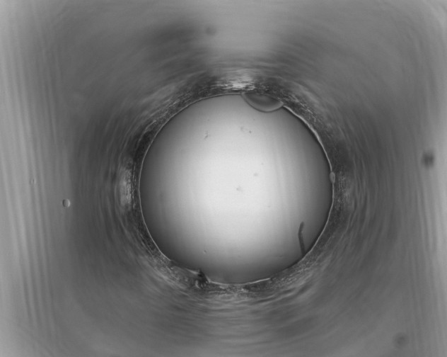 X0000095541442200712211337