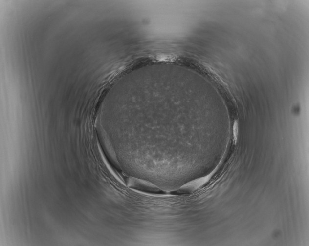 X0000095541443200712211337