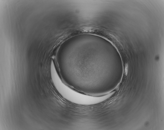 X0000095541444200712211337