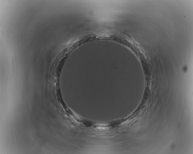 X0000095541445200712211337