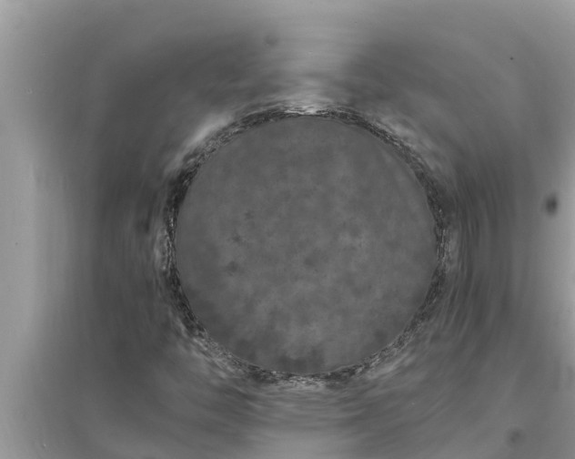 X0000095541446200712211337