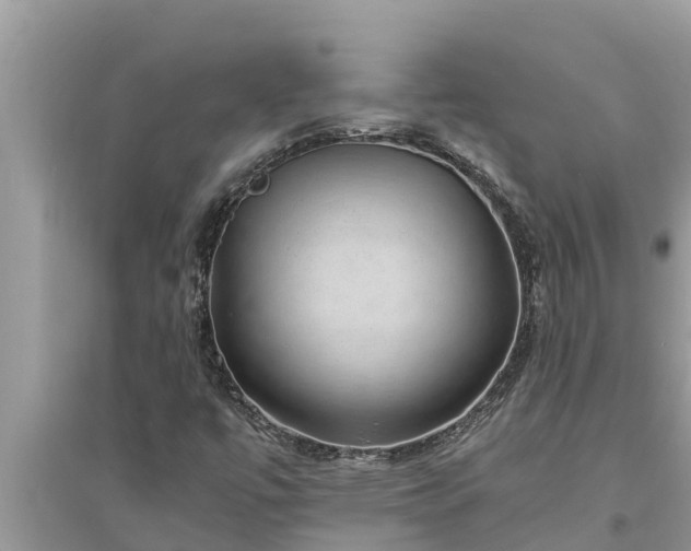 X0000095541447200712211337