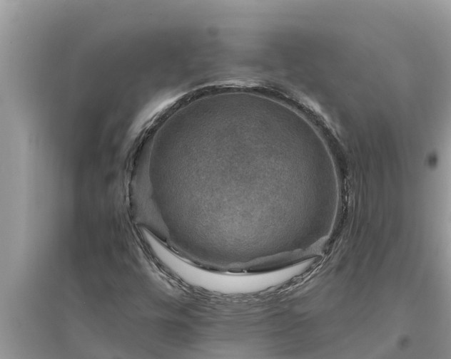 X0000095541448200712211337