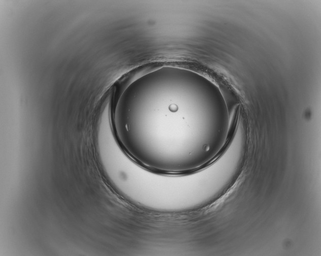 X0000095541449200712211337