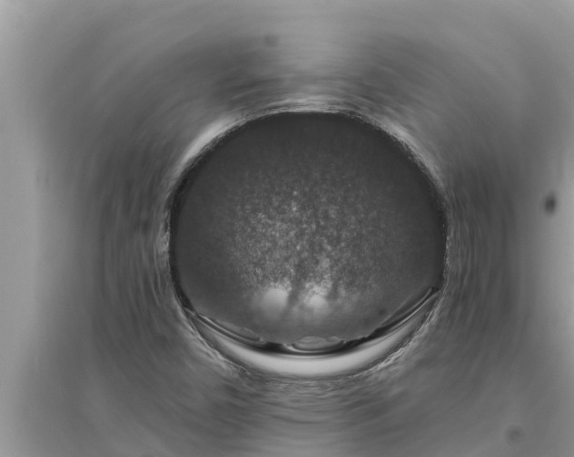 X0000095541450200712211337
