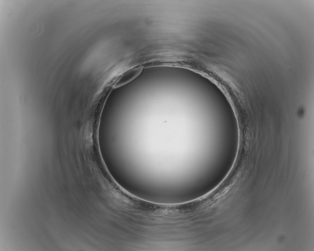 X0000095541451200712211337