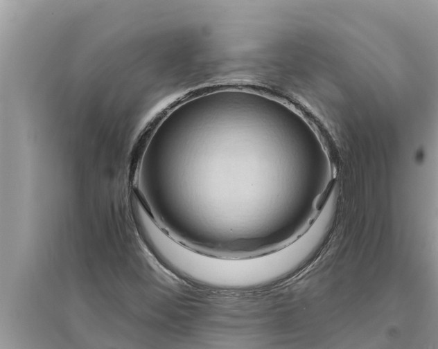 X0000095541452200712211337