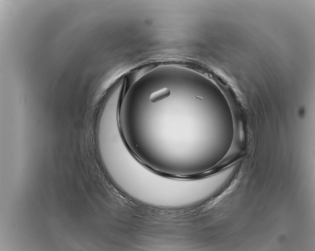 X0000095541453200712211337