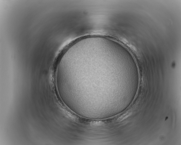 X0000095541454200712211337