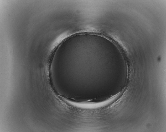 X0000095541455200712211337