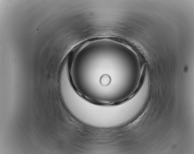 X0000095541457200712211337