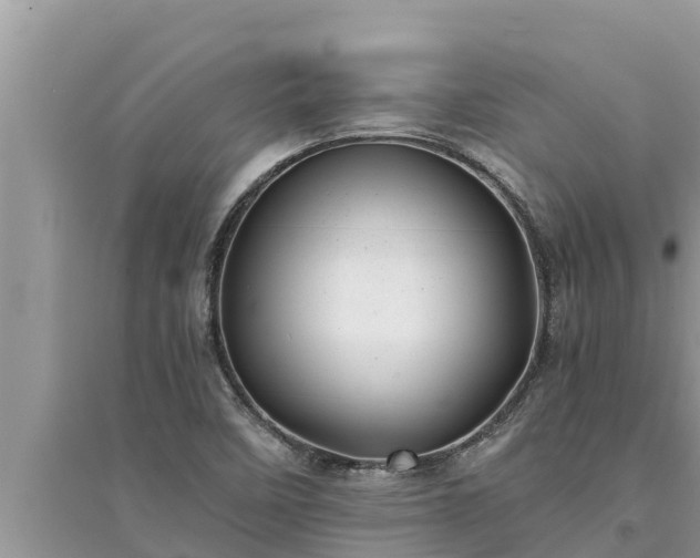 X0000095541458200712211337