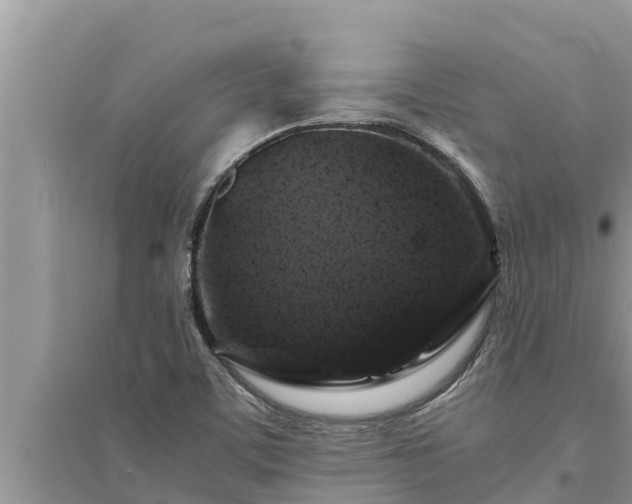 X0000095541459200712211337