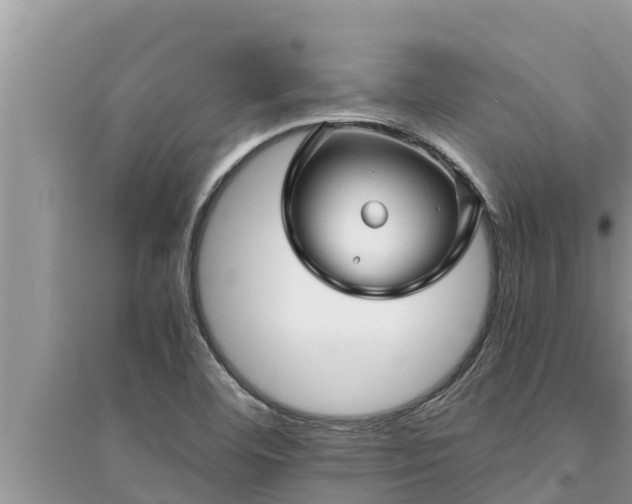 X0000095541460200712211337