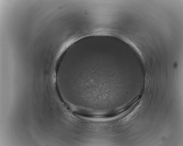 X0000095541461200712211337