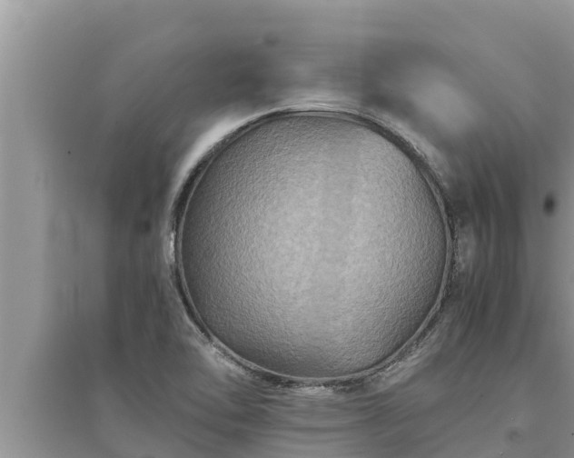 X0000095541462200712211337