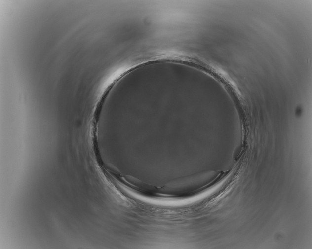 X0000095541463200712211337