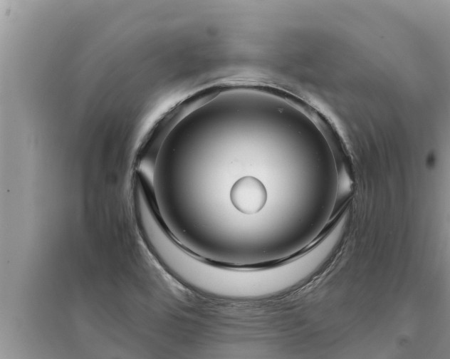 X0000095541464200712211337