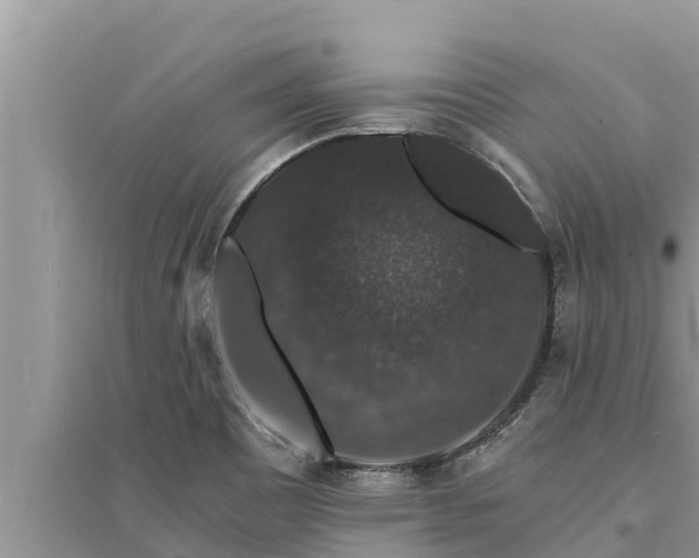 X0000095541465200712211337