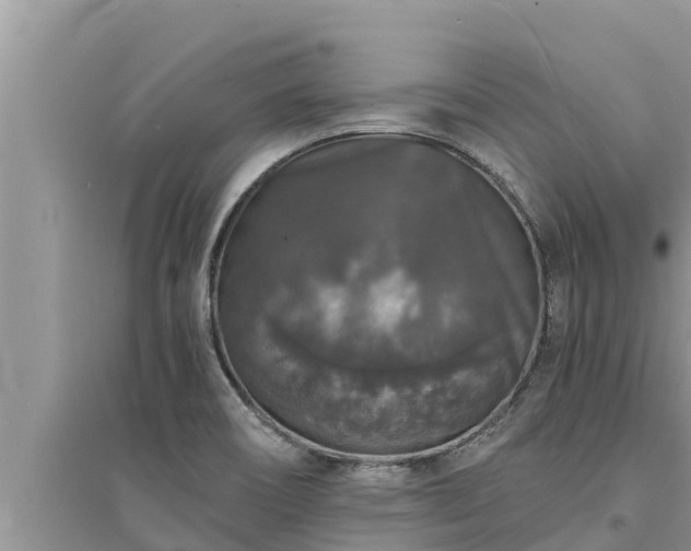 X0000095541466200712211337