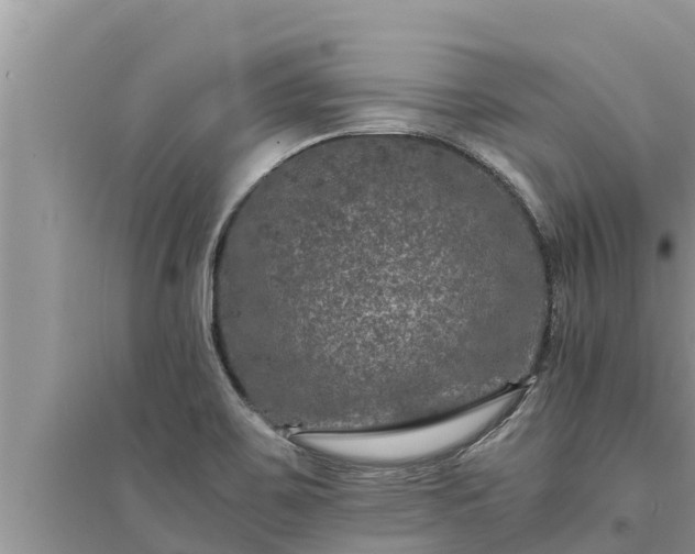 X0000095541467200712211337