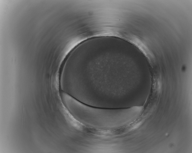 X0000095541468200712211337